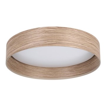 Eglo - LED Taklampa LED/24W/230V