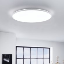 Eglo - LED taklampa LED/29W/230V diameter  50 cm