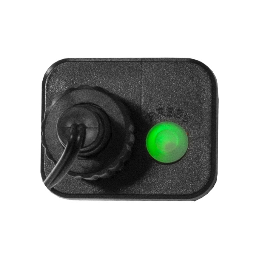 Eglo - LED utomhus julkedja 300xLED/8 funktioner 11m IP44 varm vit