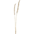 Eglo - Plastblomma 71,5 cm guld