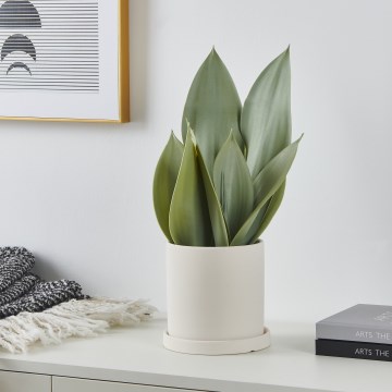 Eglo - Plastväxt i blommkruka 41,5x28,5 cm