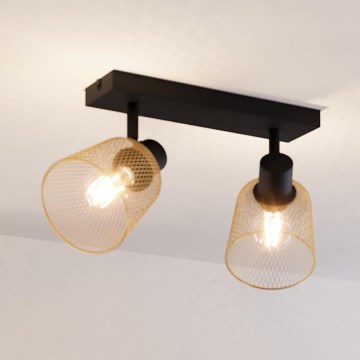 Eglo - Spotlight 2xE27/40W/230V