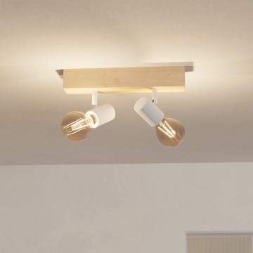 Eglo - Spotlight TOWNSHEND 2xE27/60W/230V