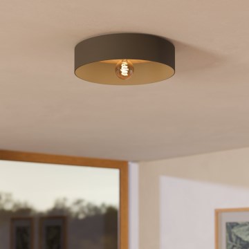 Eglo - Taklampa 1xE27/40W/230V grå