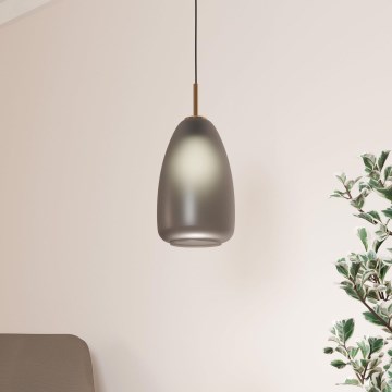 Eglo - Taklampa 1xE27/40W/230V