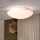 Eglo - Taklampa 1xE27/60W/230V
