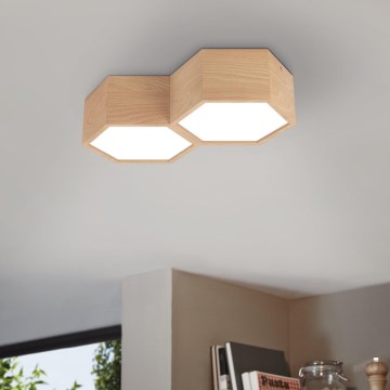 Eglo - Taklampa 2xE27/9W/230V