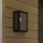 Eglo - Utomhusvägglampa 1xE27/60W/230V IP44 svart/rökfärgad