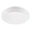 Emithor 63207 - Teknisk LED-takarmatur, ytmonterad, 30W/230V IP65