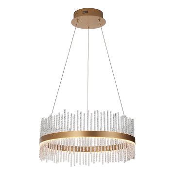 Endon 107671 - LED ljusreglerad ljuskrona på textilsladd ADRIEL LED/41W/230V 3000K diameter 51 cm guld/genomskinlig