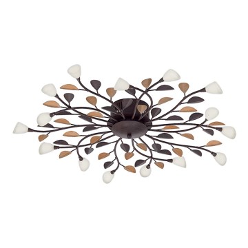 Esrättningsglas CAMPANIA