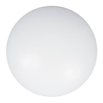 Esrättningsglas CLEO 80 cm glas