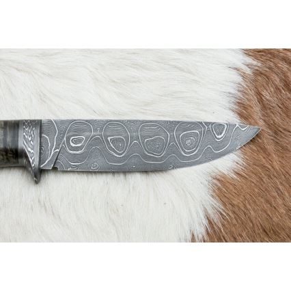 Exklusiv damaskuskniv 12,7 cm lönn/agat