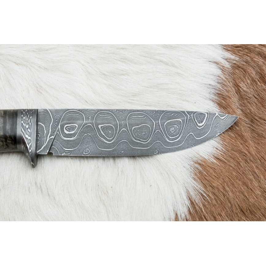 Exklusiv damaskuskniv 12,7 cm lönn/agat