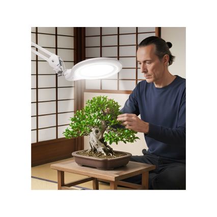 Extol - LED dimbar bordslampa med förstoringsglas LED/10W/230V vit