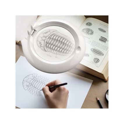 Extol - LED dimbar bordslampa med förstoringsglas LED/10W/230V vit