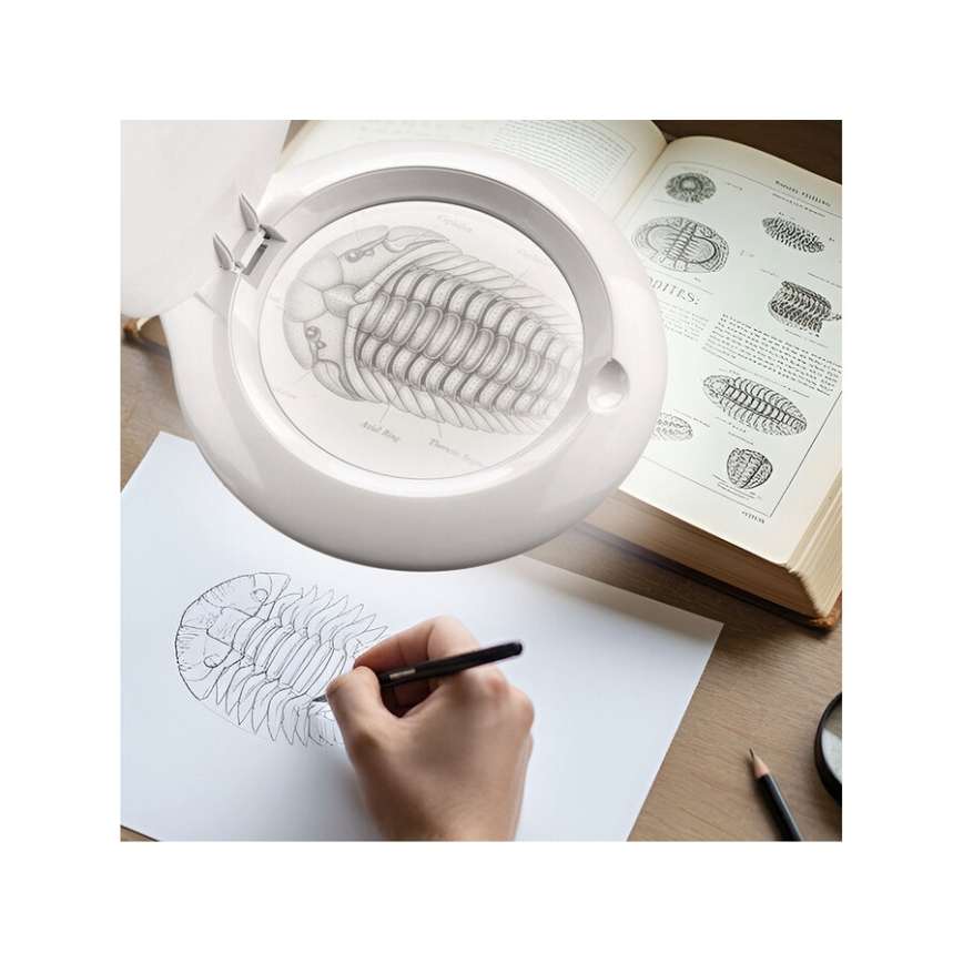 Extol - LED dimbar bordslampa med förstoringsglas LED/10W/230V vit