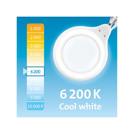 Extol - LED dimbar bordslampa med förstoringsglas LED/10W/230V vit
