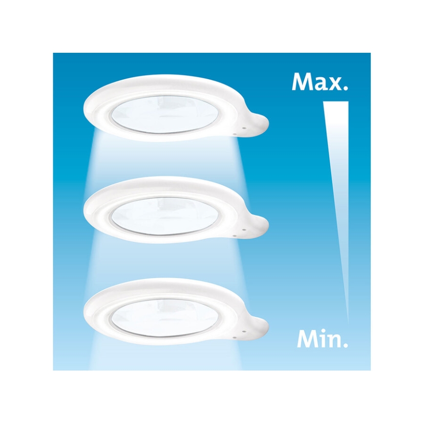 Extol - LED dimbar bordslampa med förstoringsglas LED/10W/230V vit
