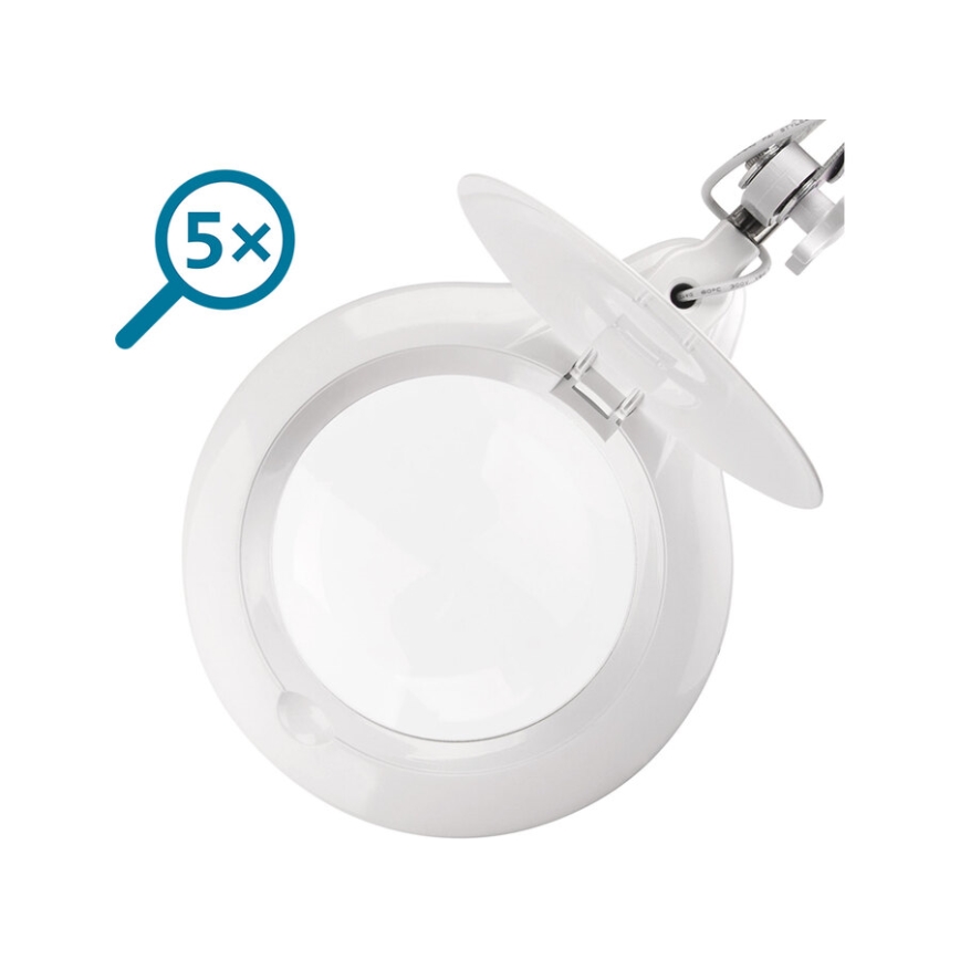 Extol - LED dimbar bordslampa med förstoringsglas LED/10W/230V vit