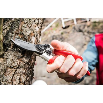 Extol Premium - Trädgårdssax 215 mm