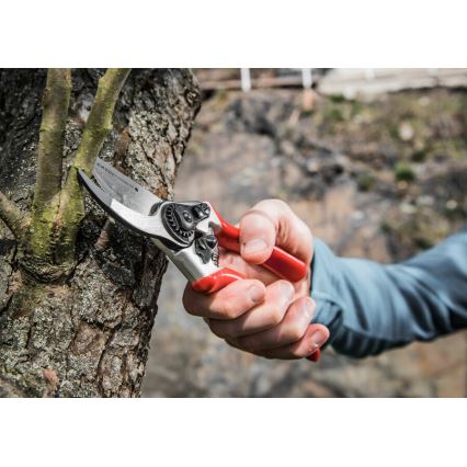 Extol Premium - Trädgårdssax 215 mm