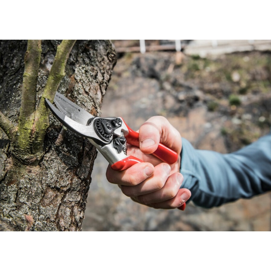 Extol Premium - Trädgårdssax 215 mm