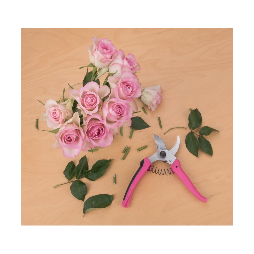 Extol - Trädgårdssax för blommor 180 mm