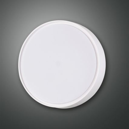 Fabas 3229/61/102 - Heavy-duty belysning HATTON 1xE27/42W/230V IP65