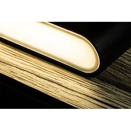 FARO 20062 - LED Väggbelysning MOOD 2xLED/3W + LED/1,5W/230V