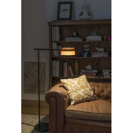 FARO 29569 - LED Dimbar touch Golvlampa LOOP LED/6W/230V