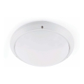 FARO 70722 - Utomhus Takbelysning DAKRON 1xE27/40W/230V IP65
