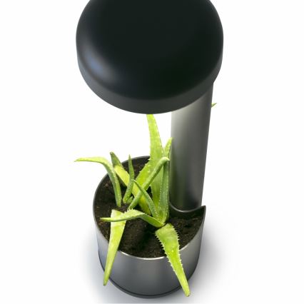 FARO 71206 - LED utomhusarmatur GROW LED/9W/230V IP65