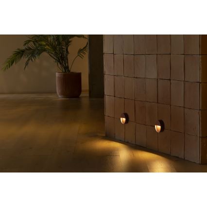 FARO 71962 - LED-trapparmatur DUNE LED/3W/230V 2200/2700/3200/4000K IP65 brun rund