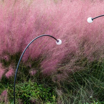 FARO 75562 - LED-lampa för utomhusbruk CUCA LED/3W/24V 119,3 cm IP65 antracit