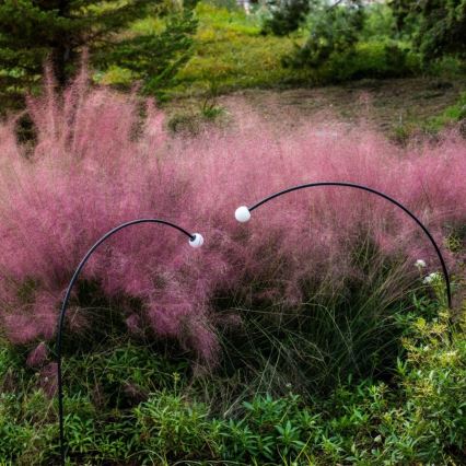 FARO 75562 - LED-lampa för utomhusbruk CUCA LED/3W/24V 119,3 cm IP65 antracit