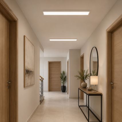 Fast LED-panel OREGA LED/40W/230V 4000K