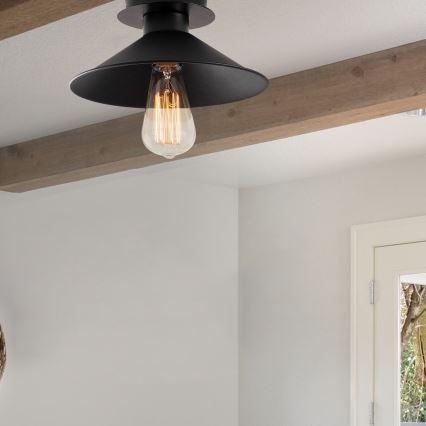 Fastsatt Ljuskrona  BERCESTE 1xE27/40W/230V