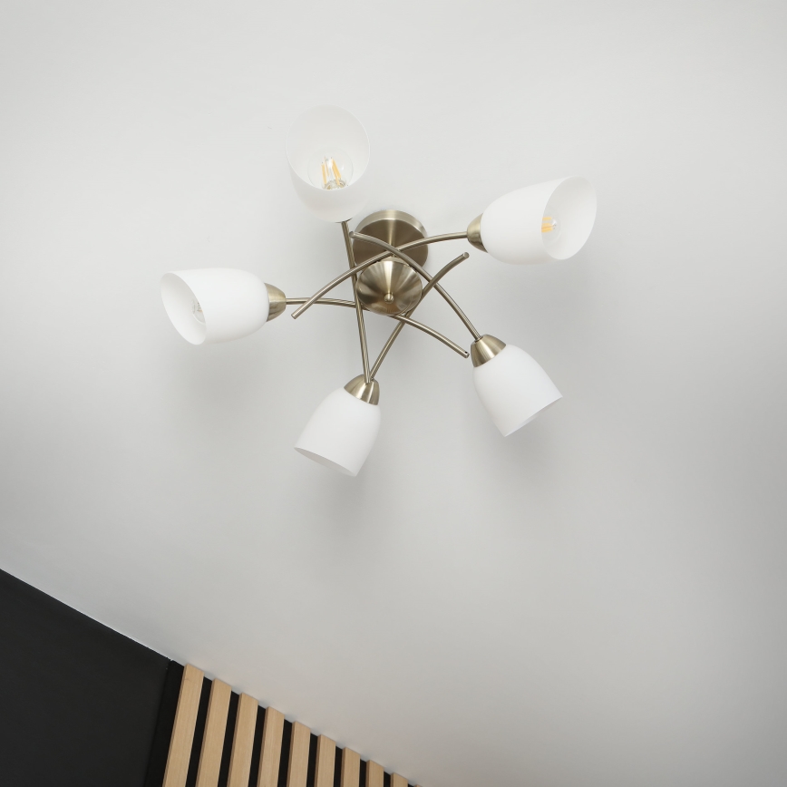 Fäst ljuskrona DONNA 5xE27/60W/230V patina