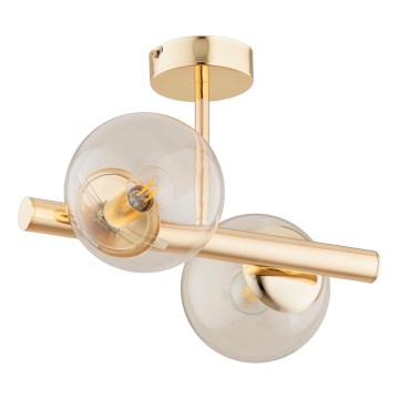 Fäst ljuskrona ERAL 2xE14/40W/230V