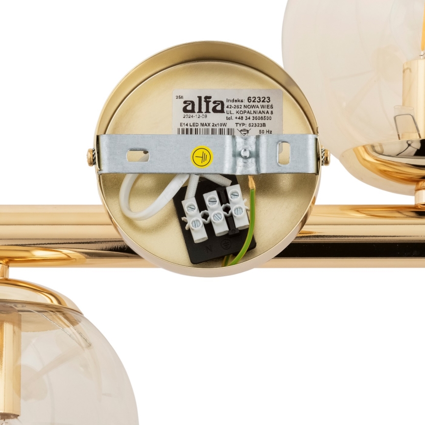 Fäst ljuskrona ERAL 2xE14/40W/230V