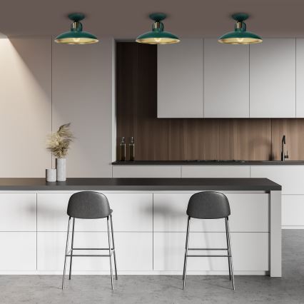 Fastsatt Ljuskrona  FELIX 1xE27/60W/230V grön