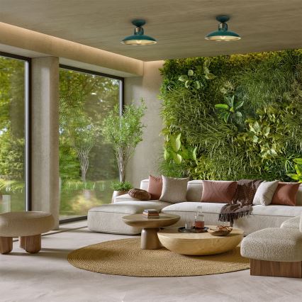 Fastsatt Ljuskrona  FELIX 1xE27/60W/230V grön