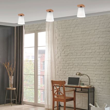 Fäst ljuskrona LULA 1xE27/60W/230V ek