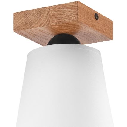 Fäst ljuskrona LULA 1xE27/60W/230V ek