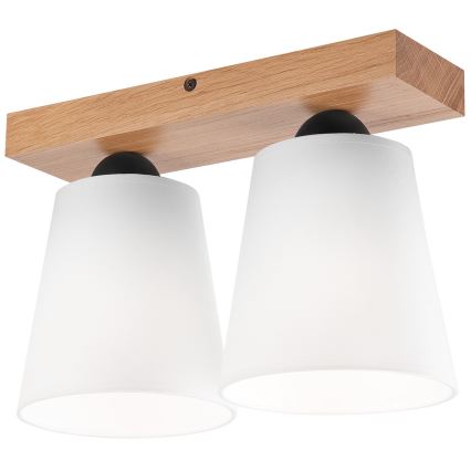 Fäst ljuskrona LULA 2xE27/60W/230V ek