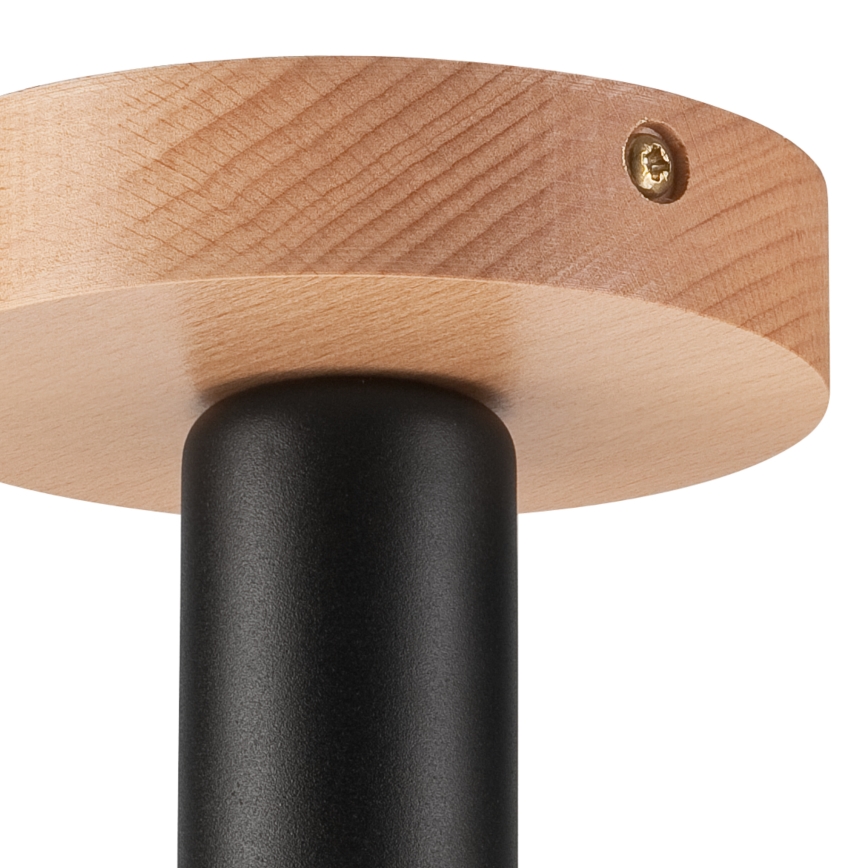 Fastsatt Ljuskrona  VITO 1xE27/60W/230V bok