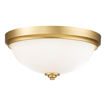 Feiss - Badrum takbelysning MALIBU 2xE27/60W/230V IP44