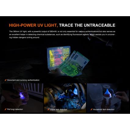Fenix E06RGRY - LED Ljusreglerad uppladdningsbar ficklampa UV LED/USB IP66 700 glansig 60 h 750 mAh grå