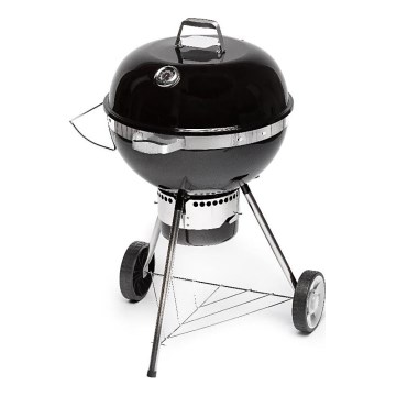 Fieldmann - Kolgrill svart/krom